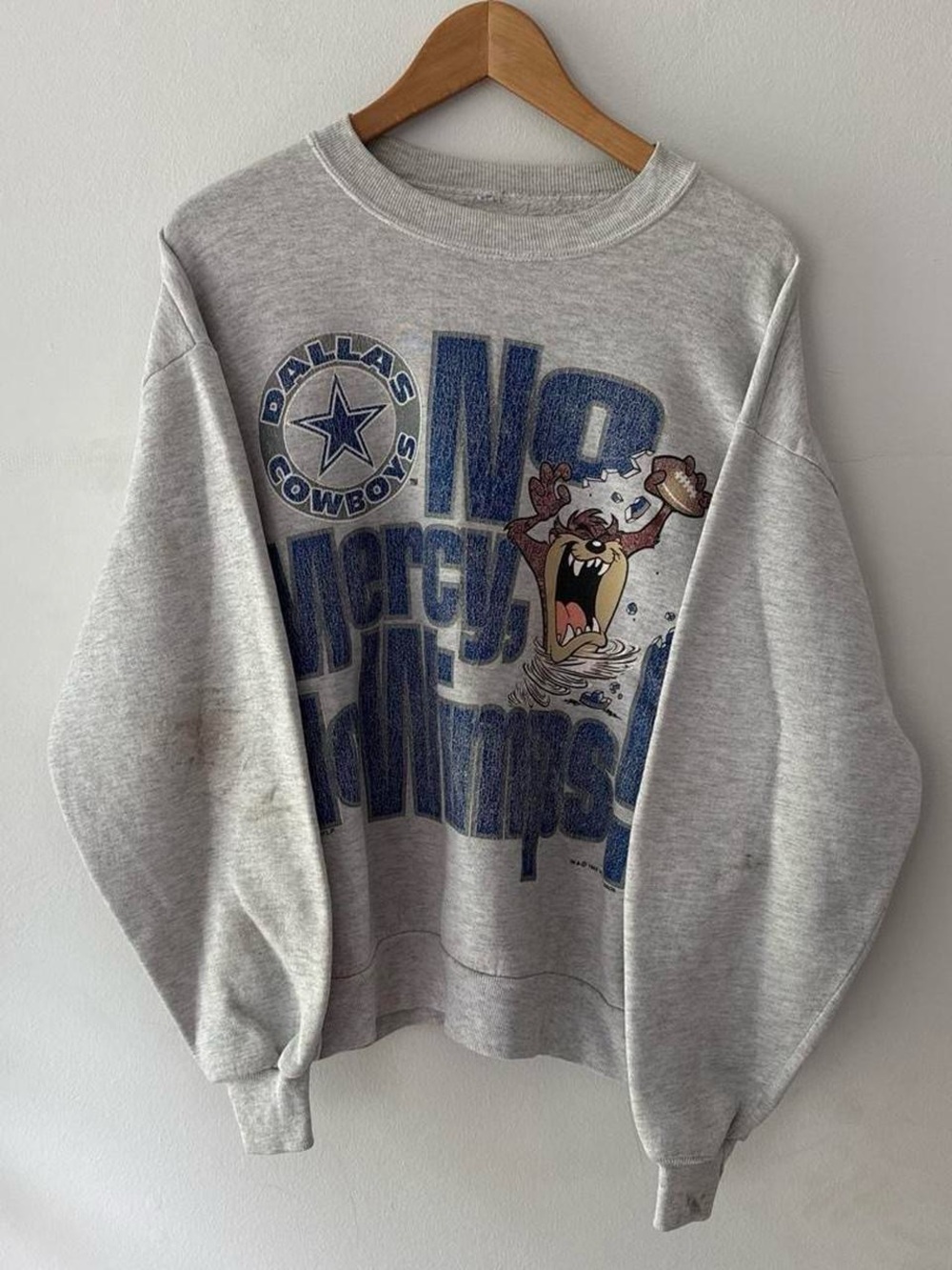 Vintage 90s Looney Tunes Taz Devil x Dallas Cowboys Warner Bros. Sweatshirt